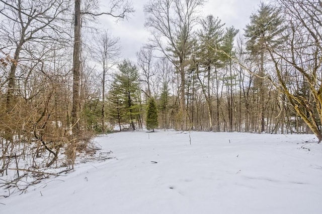 view of snowy landscape