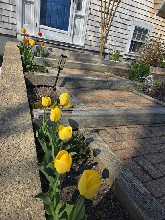 6 Paddock Dr, Harwich, MA 02645 - exterior view of entry steps