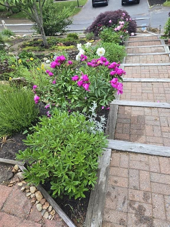 6 Paddock Dr, Harwich, MA 02645 - exterior view