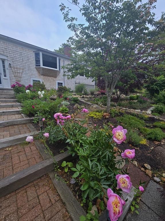 6 Paddock Dr, Harwich, MA 02645 - view of yard
