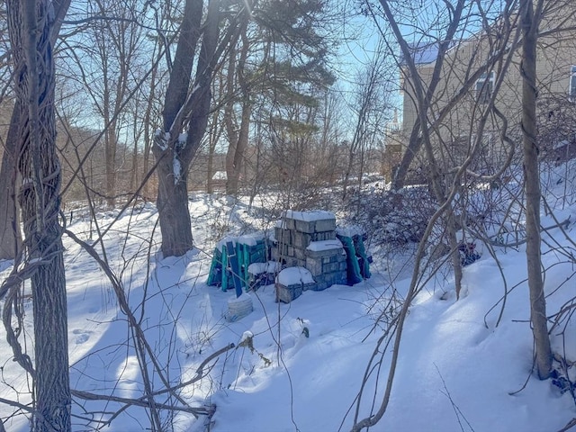 view of yard covered in snow