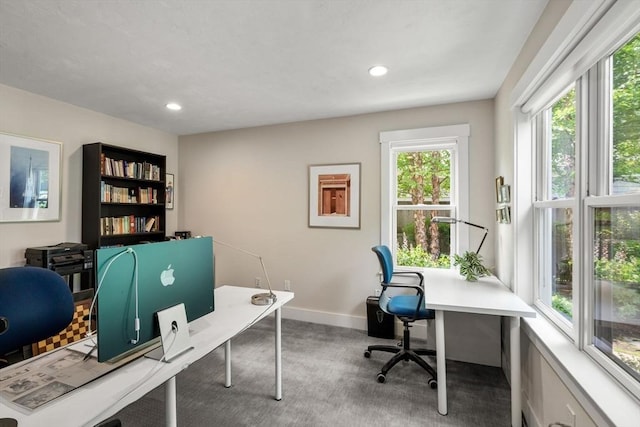 40 Tall Pine Dr Unit 18, Sudbury, MA 01776 - office featuring carpet flooring and recessed lighting