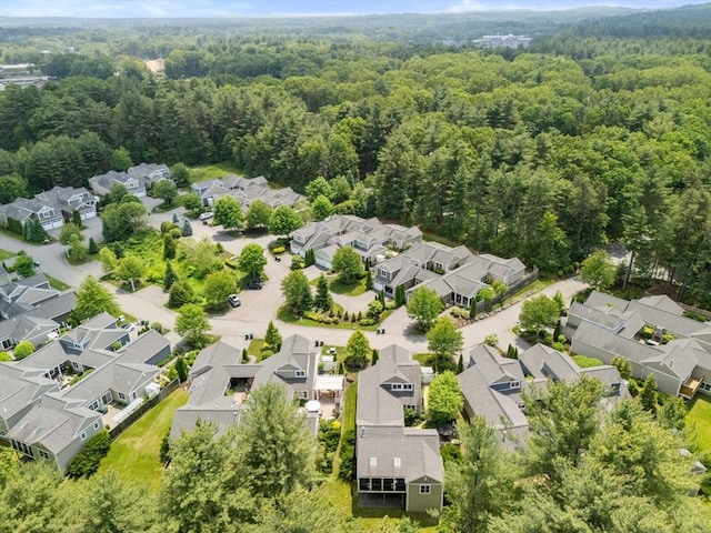 40 Tall Pine Dr Unit 18, Sudbury, MA 01776 - aerial view of residential area with a forest