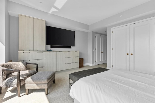 carpeted bedroom with two closets