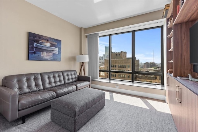 view of carpeted living room