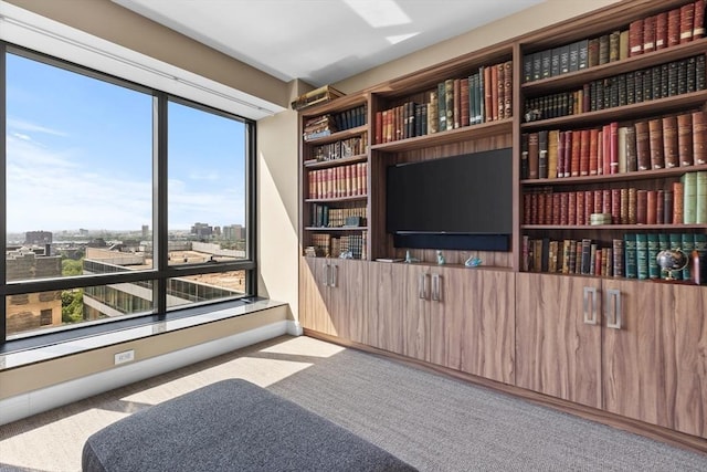 interior space featuring light colored carpet