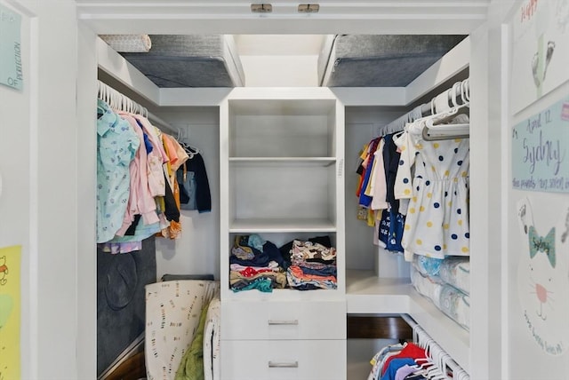 54-58 Robey St Unit 54, Boston, MA 02119 - view of spacious closet