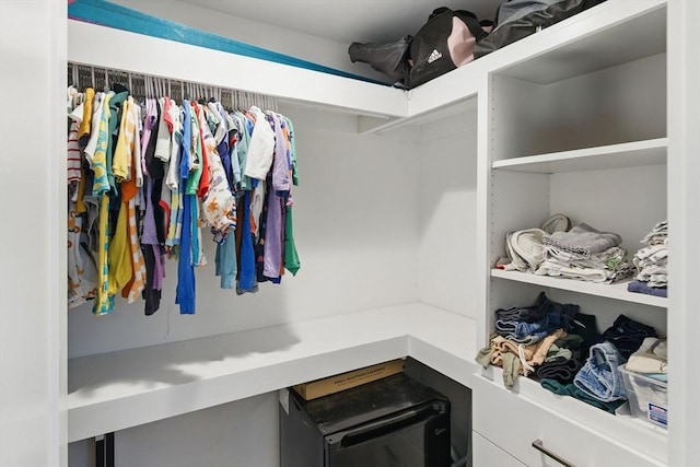 54-58 Robey St Unit 54, Boston, MA 02119 - view of spacious closet