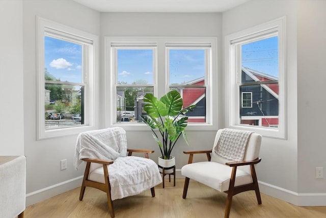 54-58 Robey St Unit 54, Boston, MA 02119 - living area featuring light wood finished floors and baseboards