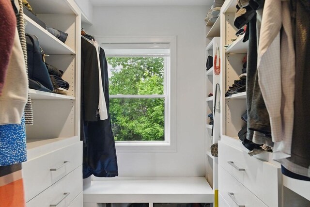 54-58 Robey St Unit 54, Boston, MA 02119 - view of walk in closet