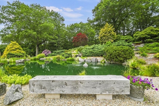 52 S Nelson Rd, Sterling, MA 01564 - view of home's community with a garden pond