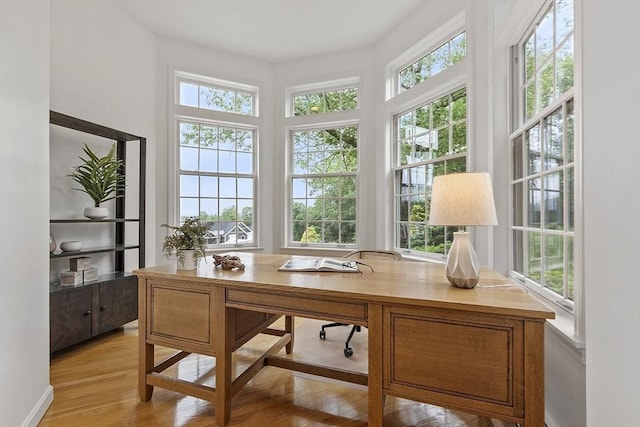 52 S Nelson Rd, Sterling, MA 01564 - office space featuring healthy amount of natural light and light wood-style floors