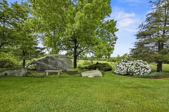 52 S Nelson Rd, Sterling, MA 01564 - view of green lawn