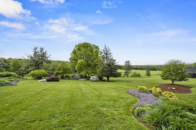 52 S Nelson Rd, Sterling, MA 01564 - view of grassy yard
