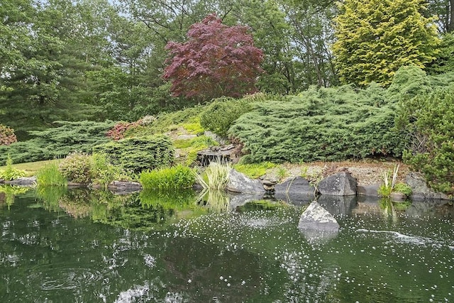 52 S Nelson Rd, Sterling, MA 01564 - view of yard