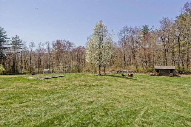 view of yard featuring an outdoor structure and a forest view