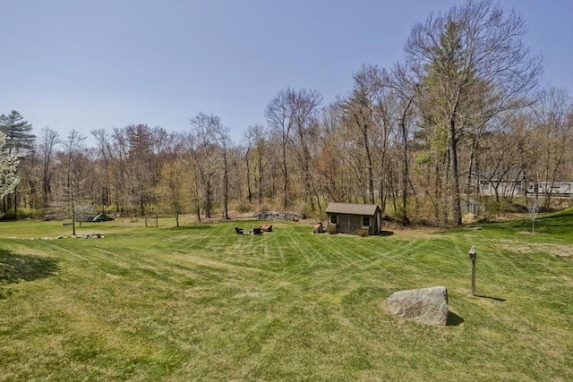 view of yard with an outdoor structure and a shed