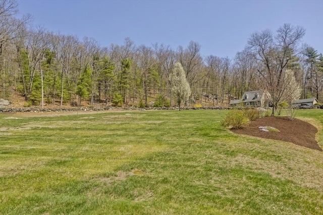 view of yard featuring a forest view