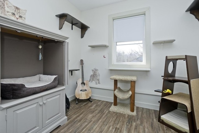 interior space with baseboards and dark wood-style flooring