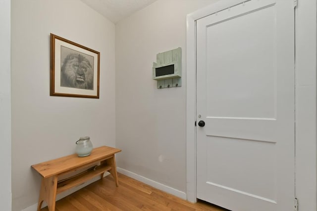 11 Goodway Rd Unit 1, Boston, MA 02130 - entryway with light wood-style floors and baseboards