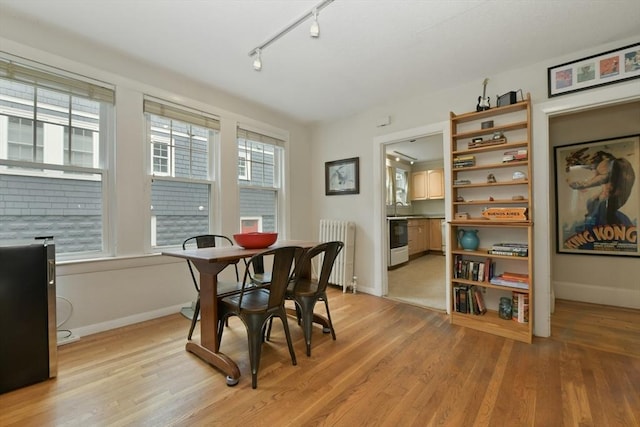 11 Goodway Rd Unit 1, Boston, MA 02130 - dining space featuring radiator, light wood finished floors, and rail lighting
