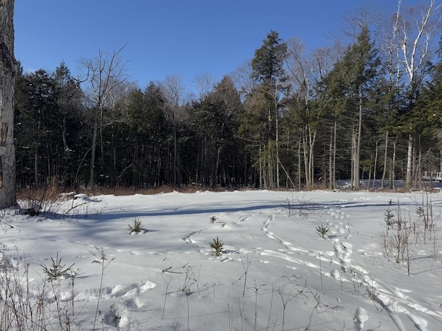 87 Stoney Brk, Becket MA, 01223 land for sale