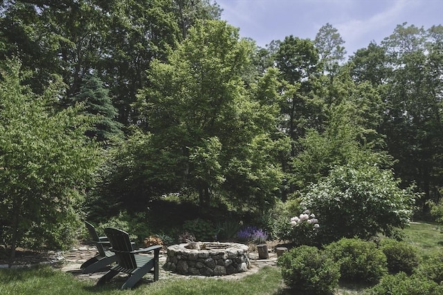 14 Dodges Row, Wenham, MA 01984 - view of yard with a fire pit and a forest view