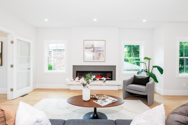 living room featuring light hardwood / wood-style floors