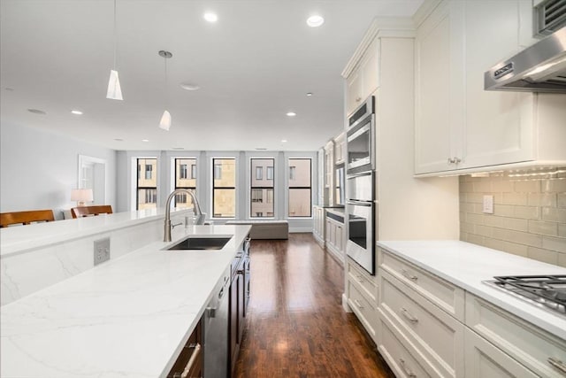 kitchen with dark wood-style floors, stainless steel appliances, ventilation hood, a sink, and recessed lighting