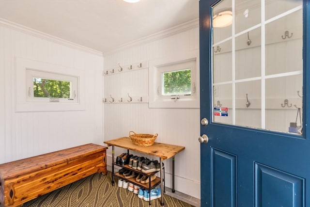 38 Davis St, Plymouth, MA 02360 - mudroom featuring healthy amount of natural light and ornamental molding