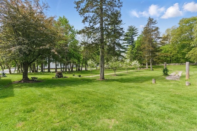 4 Porter St, Granby, MA 01033 - surrounding community featuring a yard