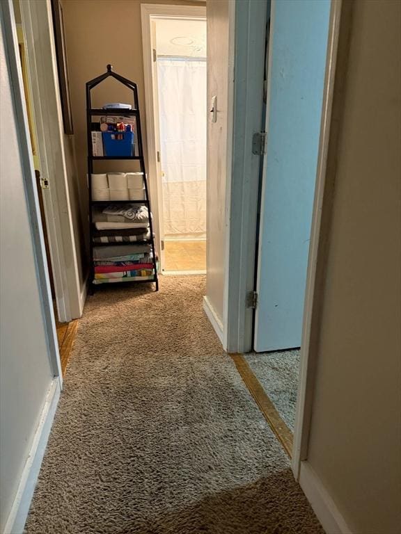 31 Abbott St, Lowell, MA 01852 - hall with carpet floors