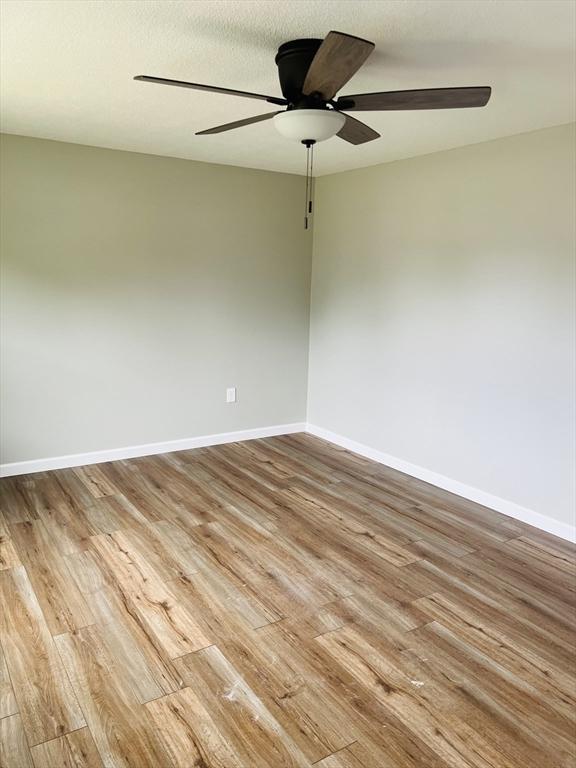 209 Casey Dr, Chicopee, MA 01020 - empty room with wood finished floors and a ceiling fan