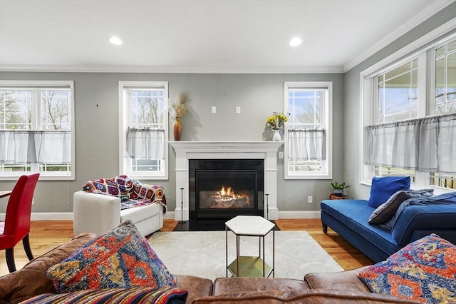 10 Stone St Unit 1, Auburn, MA 01501 - living area with a fireplace with flush hearth, wood finished floors, baseboards, and ornamental molding