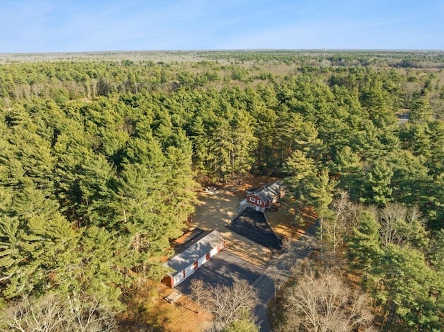 92 Martin St, Rehoboth, MA 02769 - bird's eye view of a forest