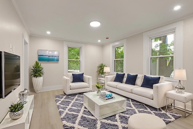 25 Norfolk St, Canton, MA 02021 - living room featuring light wood-style flooring, ornamental molding, and recessed lighting
