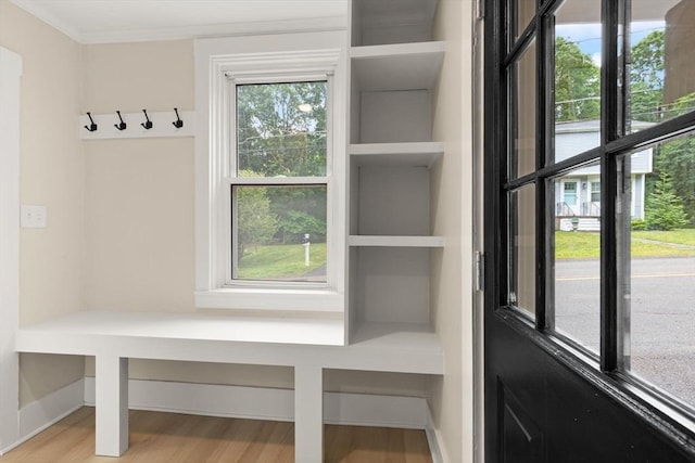 25 Norfolk St, Canton, MA 02021 - mudroom featuring wood finished floors