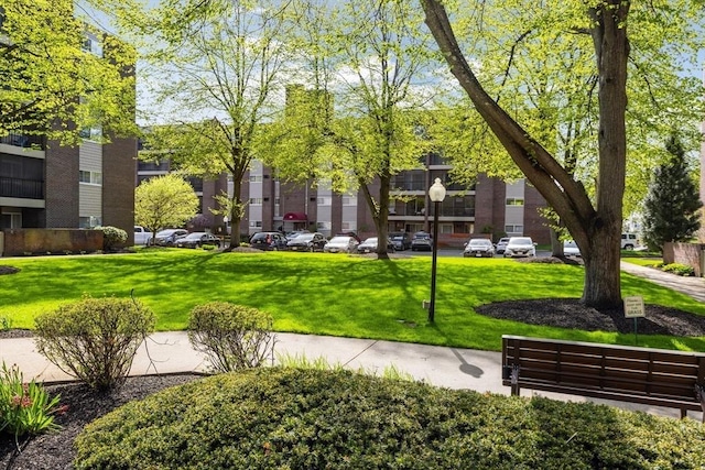 view of home's community with a lawn