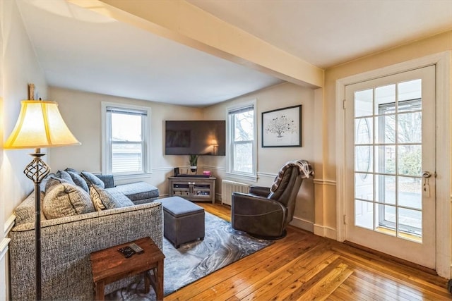 living room with hardwood / wood-style floors, a wealth of natural light, and radiator heating unit