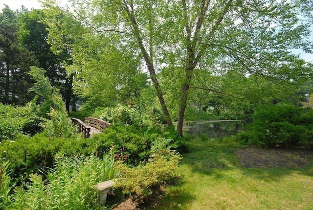 19 Concord Greene Unit 3, Concord, MA 01742 - view of yard featuring a view of trees