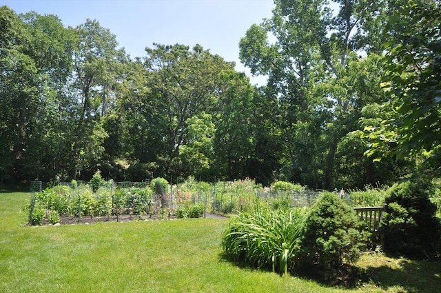 19 Concord Greene Unit 3, Concord, MA 01742 - view of green lawn featuring a garden