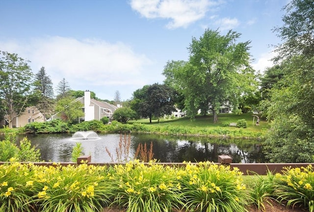 19 Concord Greene Unit 3, Concord, MA 01742 - water view