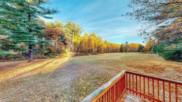 242 Eastwood Dr, Westfield, MA 01085 - view of yard featuring a forest view
