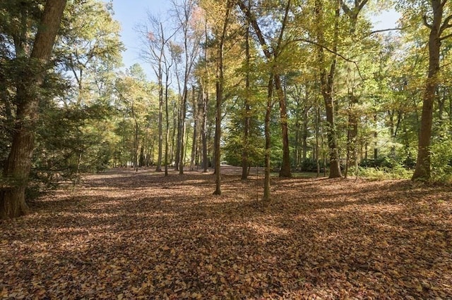 242 Eastwood Dr, Westfield, MA 01085 - view of tree filled area