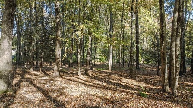 242 Eastwood Dr, Westfield, MA 01085 - view of wooded area