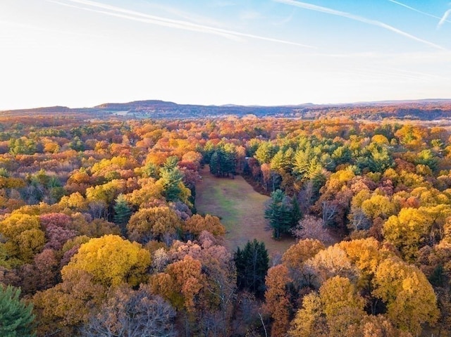 242 Eastwood Dr, Westfield, MA 01085 - view of property location with a heavily wooded area