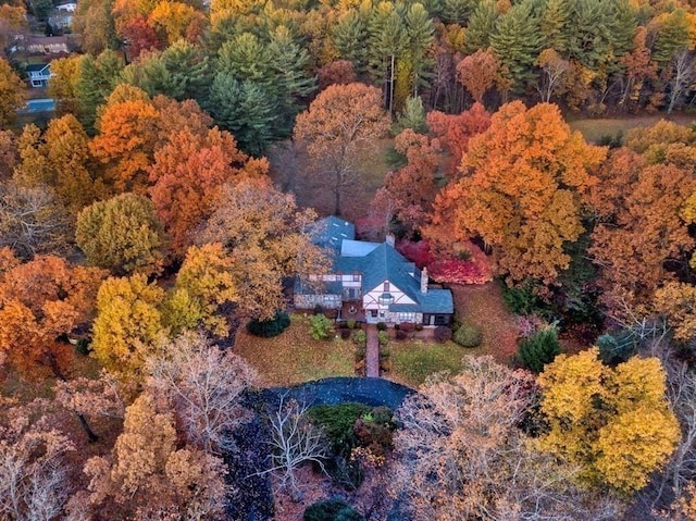 242 Eastwood Dr, Westfield, MA 01085 - aerial view of property and surrounding area featuring a heavily wooded area
