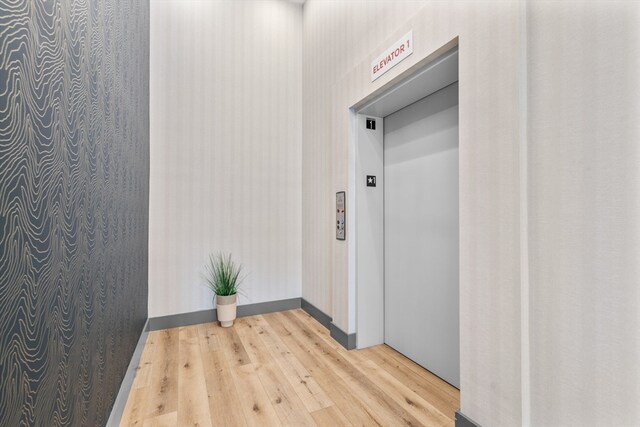 hallway with hardwood / wood-style floors and elevator