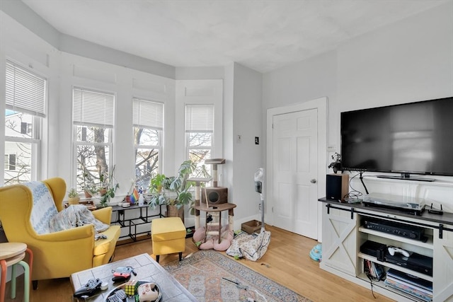 living room featuring light hardwood / wood-style floors