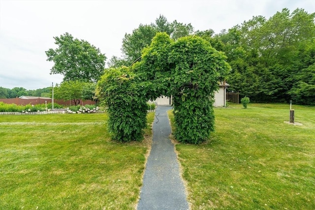 1170 E St, Ludlow, MA 01056 - view of grassy yard